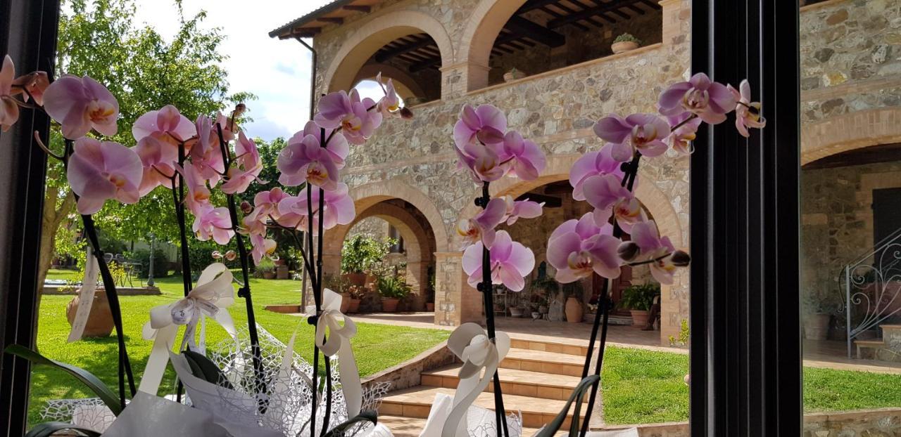 Fattoria Dei Cavalieri Daire Sovana Dış mekan fotoğraf